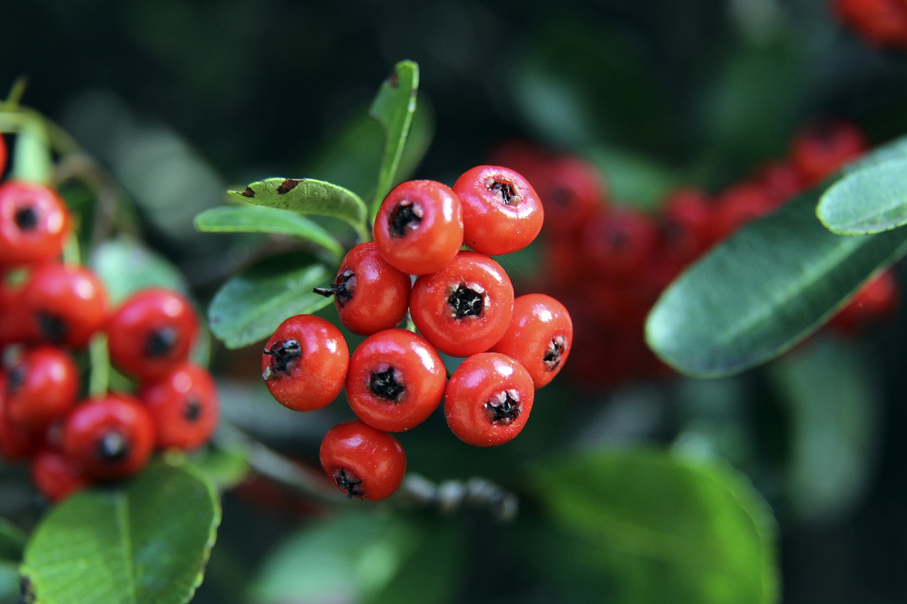 鲜明反差的 鲜明反差的