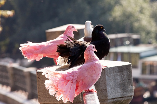 是不是多虑了？日本媒体：王子铭进球效率很高，日本队需格外当心.