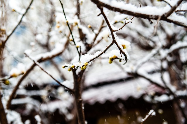 未来 未来